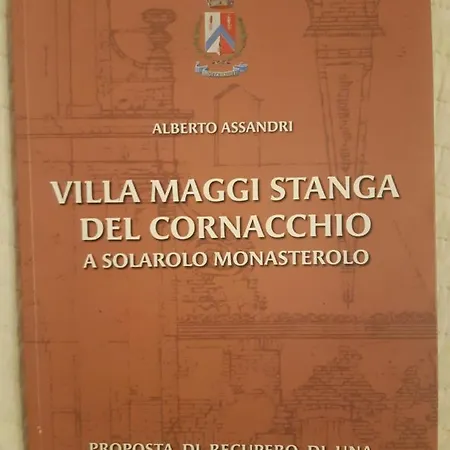 Il Corvo Viaggiatore *